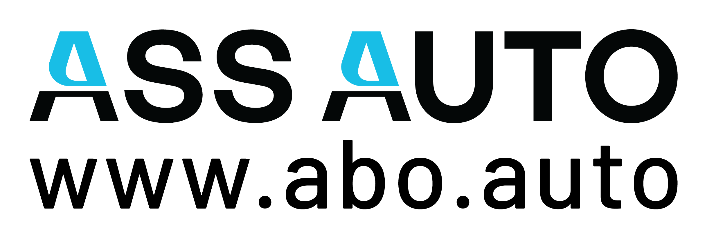 ASS_auto_URL-26-schwarz-cyan_neu.png